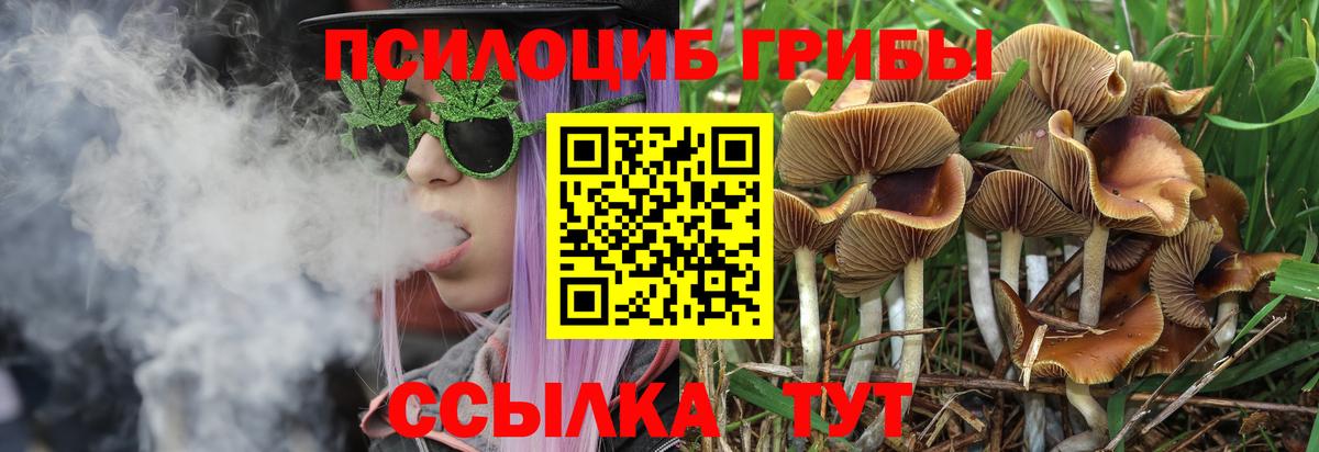 Псилоцибиновые грибы GOLDEN TEACHER  Вход с VPN  закладка  Дивногорск 
